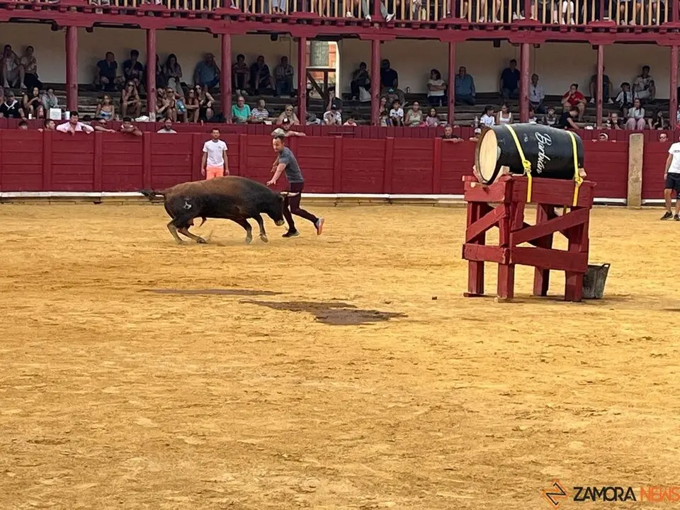 Fuente del Vino Toro _6