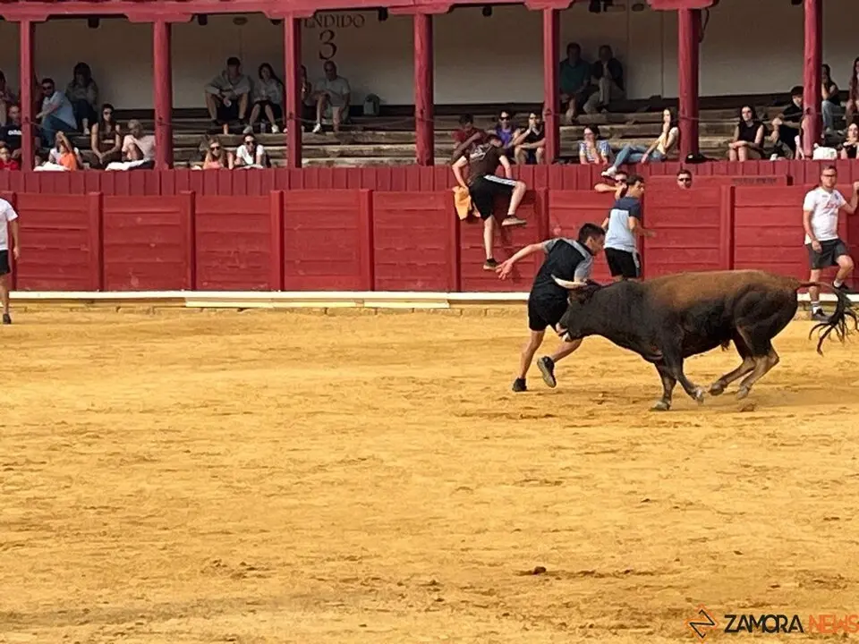 Fuente del Vino Toro _7