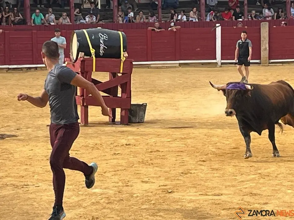 Fuente del Vino Toro _8