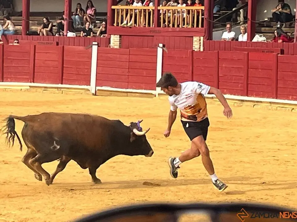 Fuente del Vino Toro _9