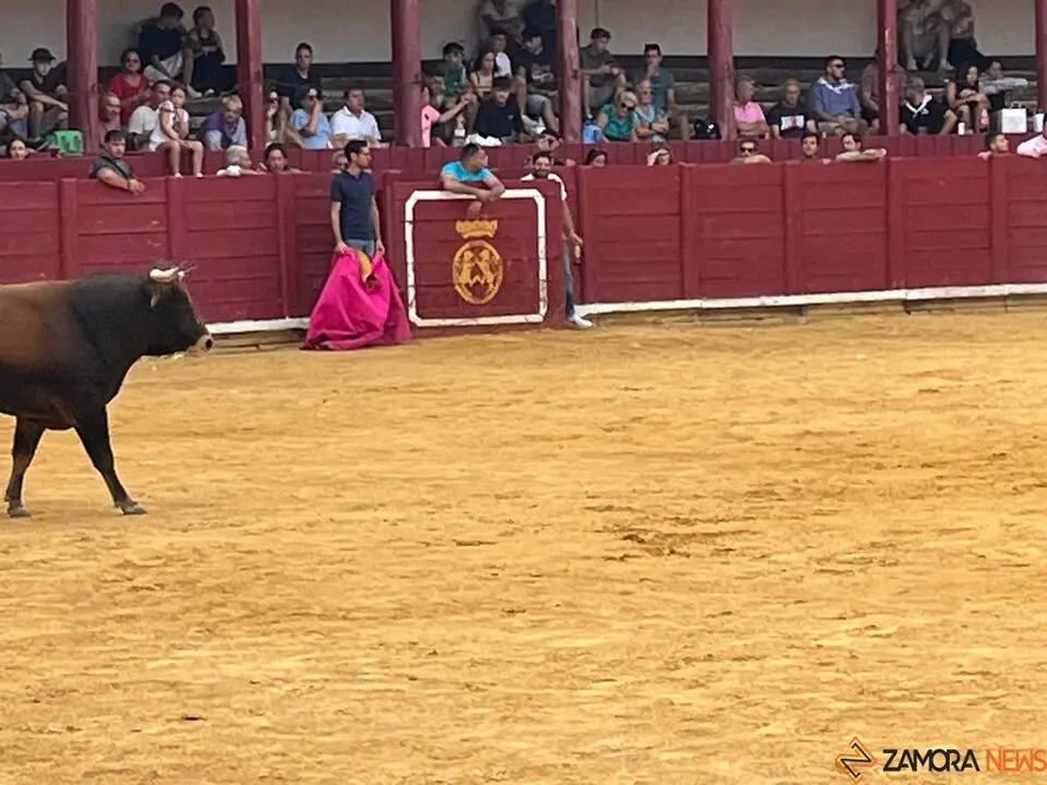 Fuente del Vino Toro _10