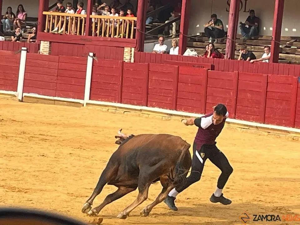 Fuente del Vino Toro _11