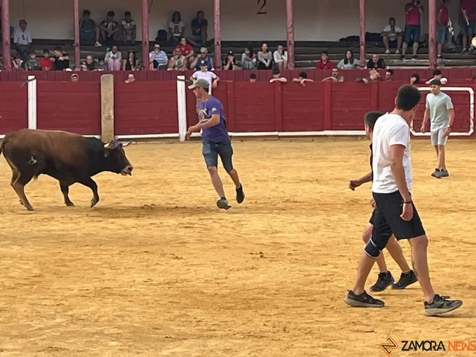 Fuente del Vino Toro _12