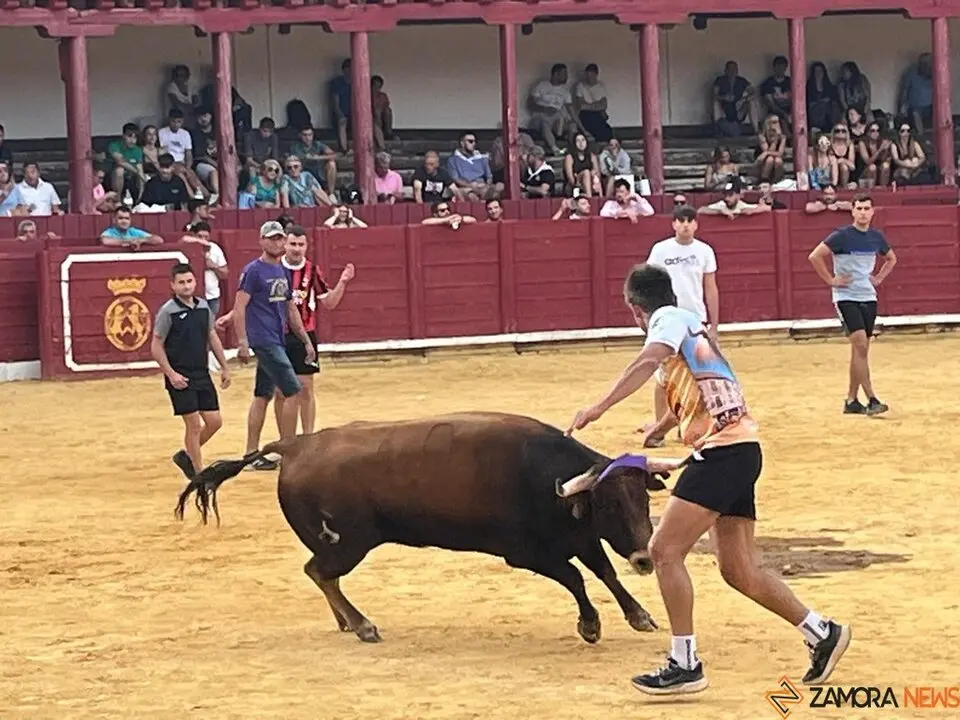 Fuente del Vino Toro _14