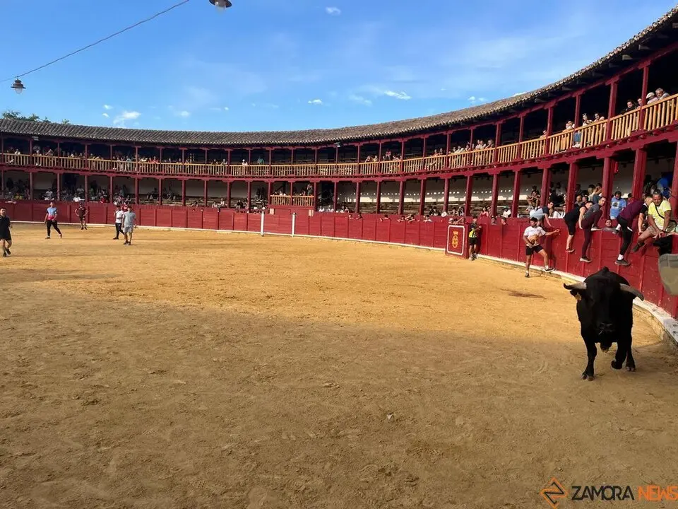 Fuente del Vino Toro _16