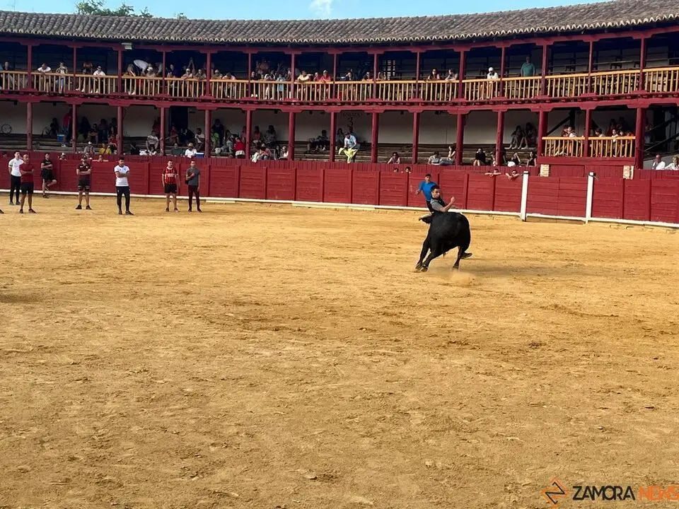 Fuente del Vino Toro _19