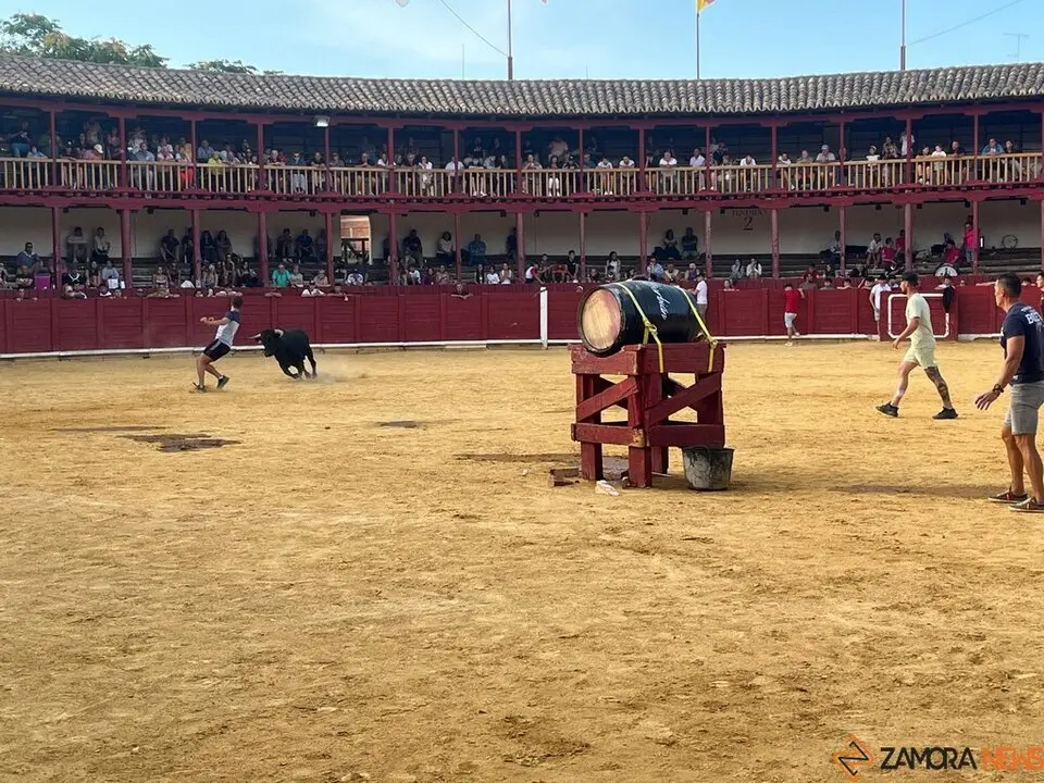 Fuente del Vino Toro _20