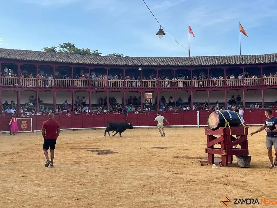 Fuente del Vino Toro _21