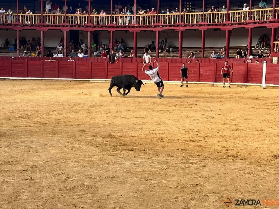 Fuente del Vino Toro _22