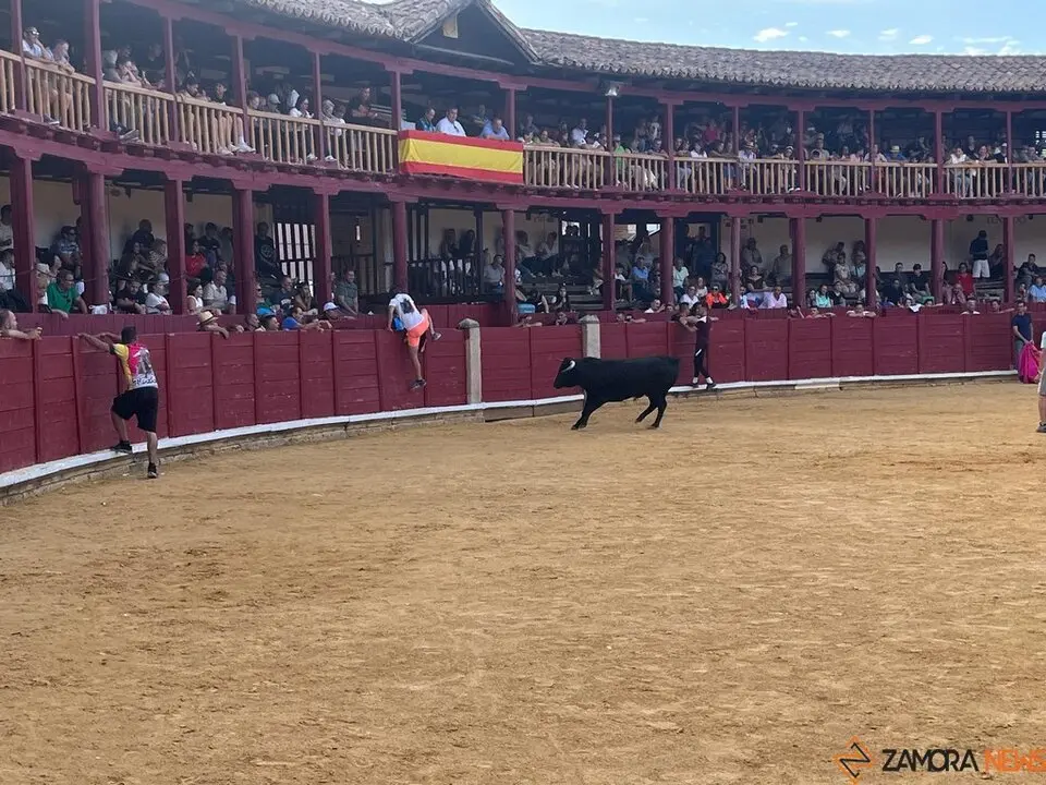 Fuente del Vino Toro _23