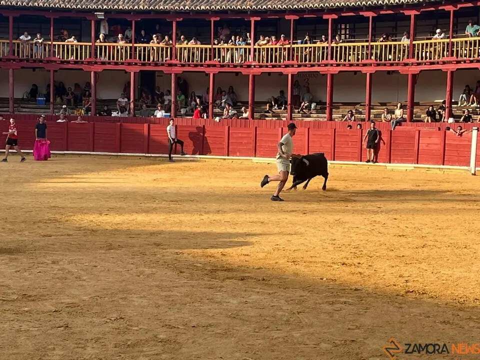 Fuente del Vino Toro _24