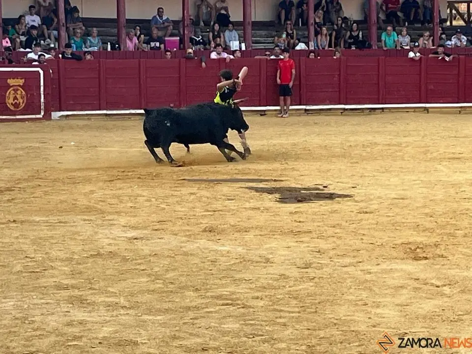 Fuente del Vino Toro _26