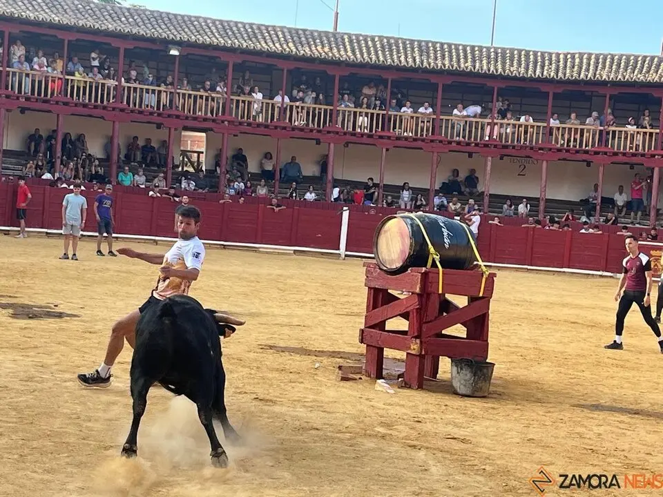 Fuente del Vino Toro _25