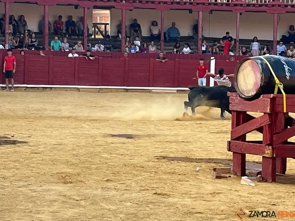 Fuente del Vino Toro _27