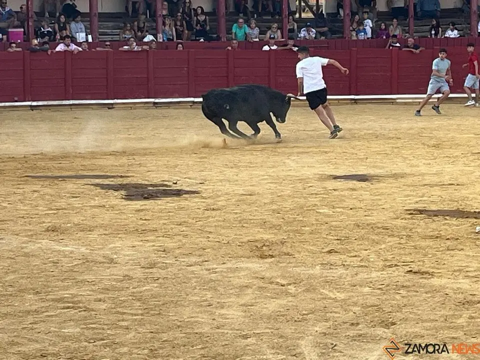 Fuente del Vino Toro _28