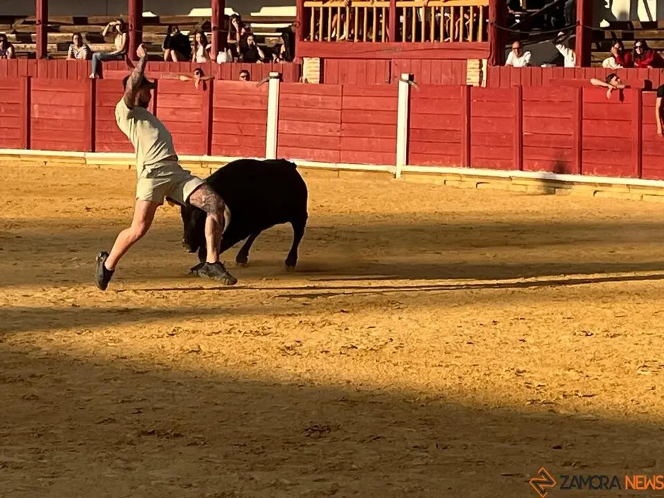 Fuente del Vino Toro _30