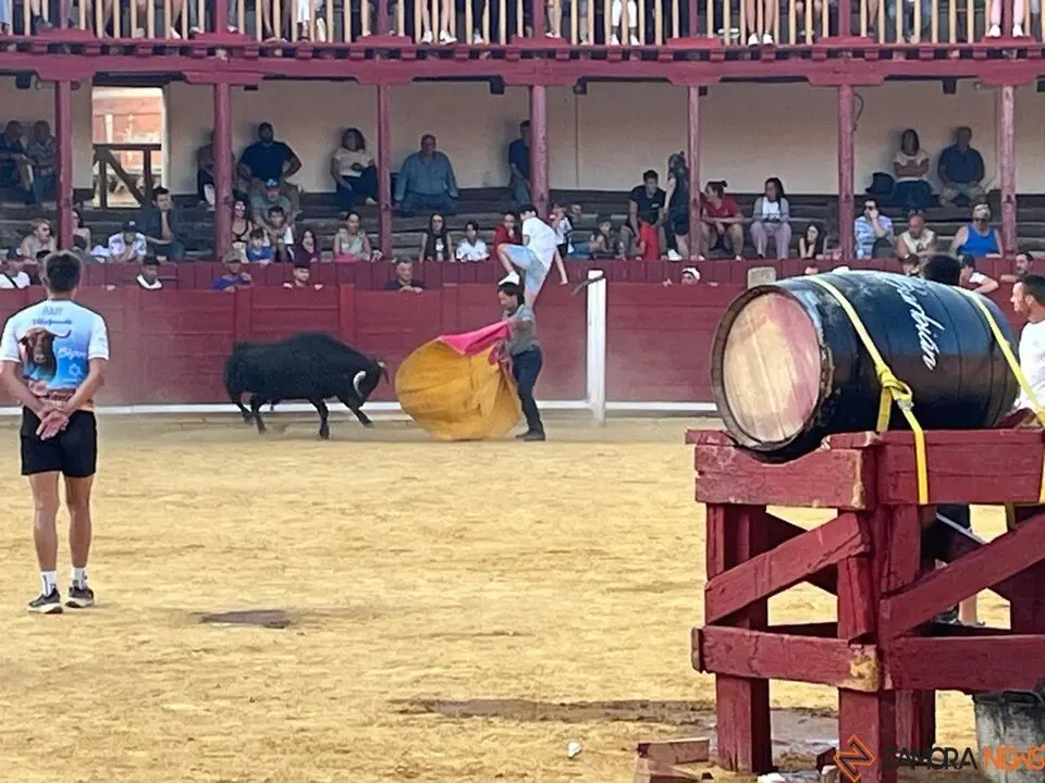 Fuente del Vino Toro _31