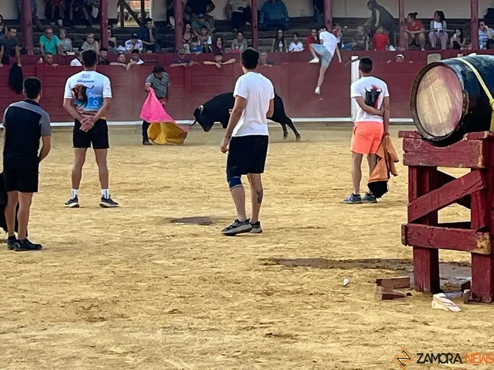 Fuente del Vino Toro _32