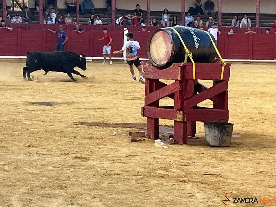Fuente del Vino Toro _33