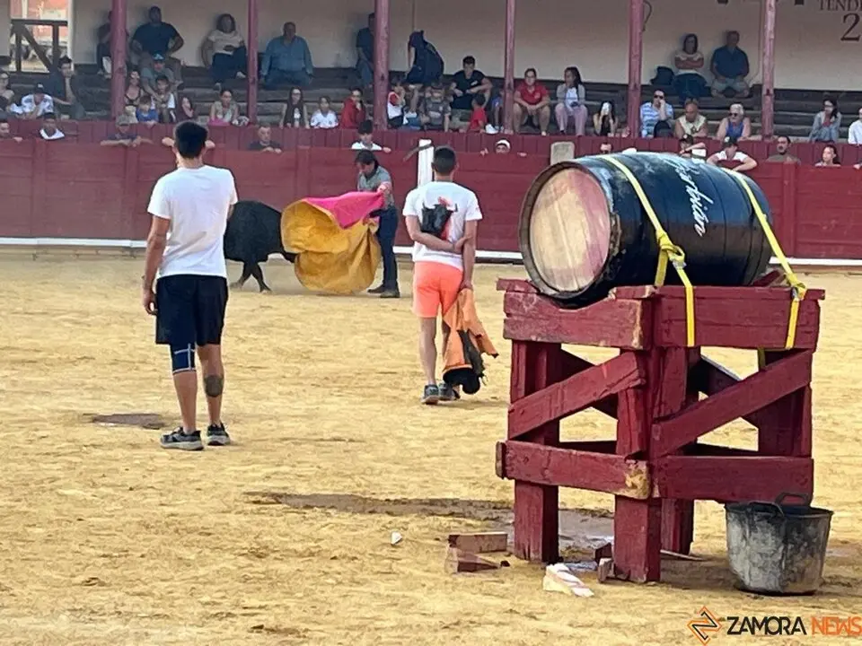 Fuente del Vino Toro _34