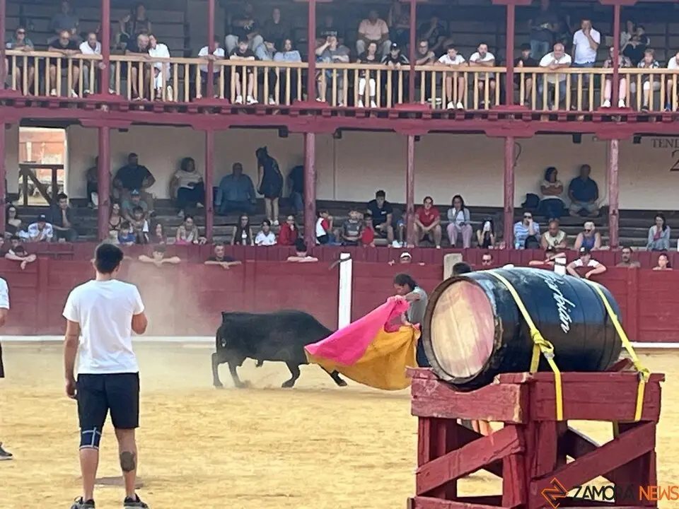 Fuente del Vino Toro _35