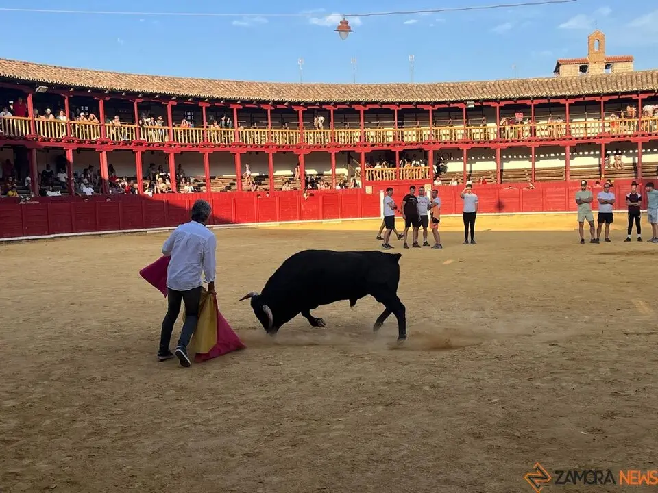 Fuente del Vino Toro _36