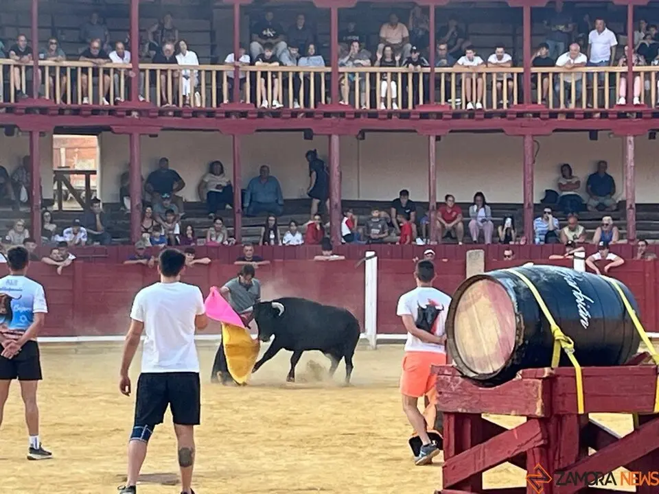 Fuente del Vino Toro _37