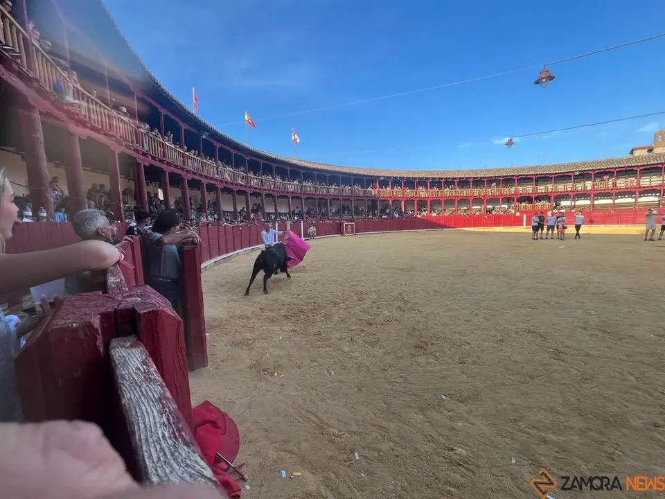 Fuente del Vino Toro _38