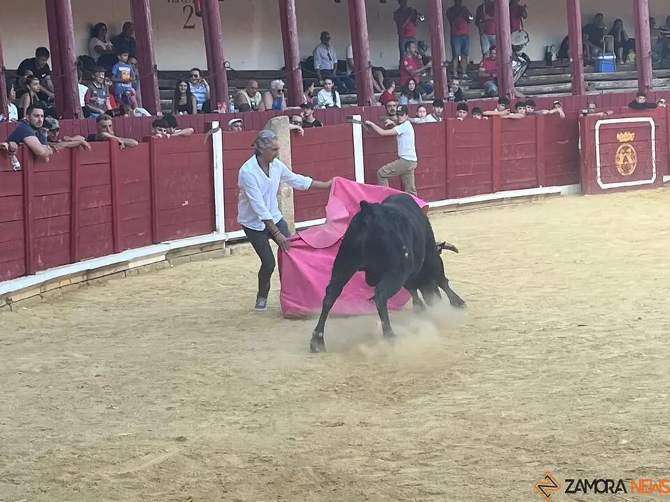 Fuente del Vino Toro _39