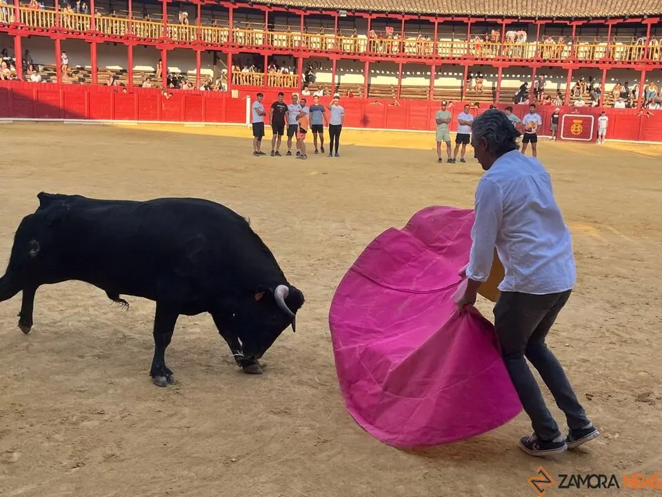 Fuente del Vino Toro _40