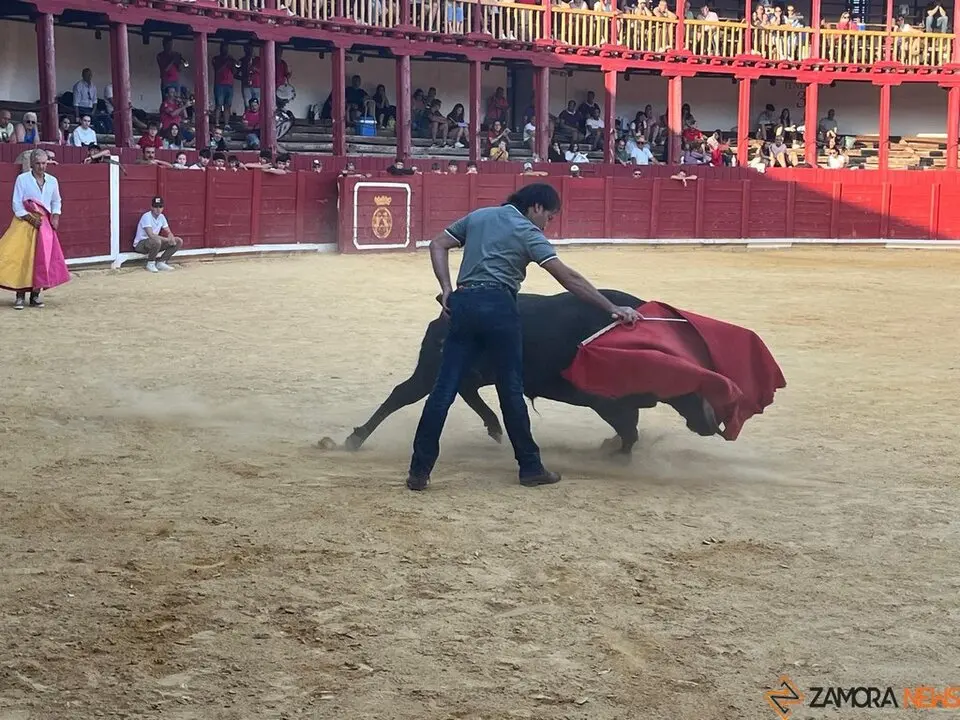 Fuente del Vino Toro _41