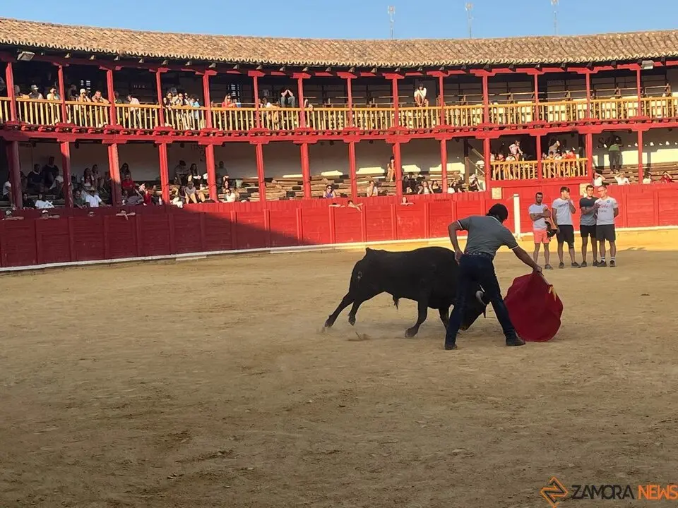 Fuente del Vino Toro _42