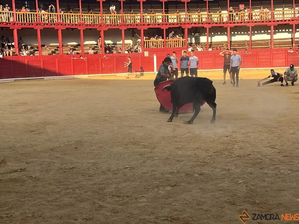 Fuente del Vino Toro _44