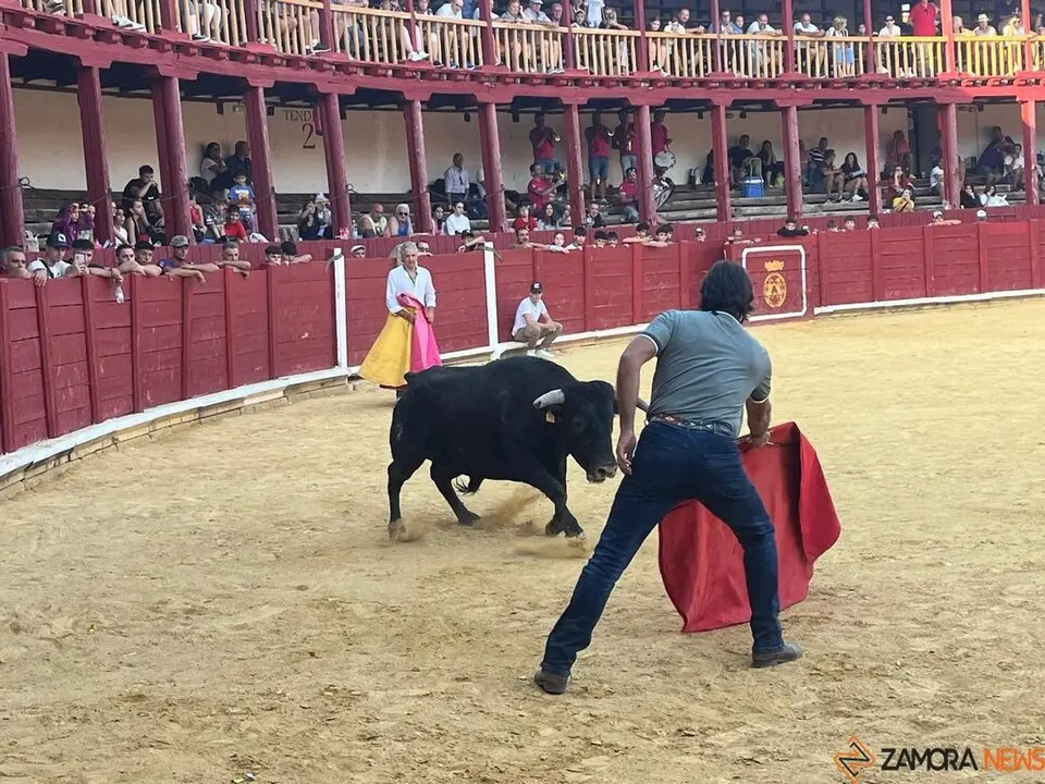 Fuente del Vino Toro _43