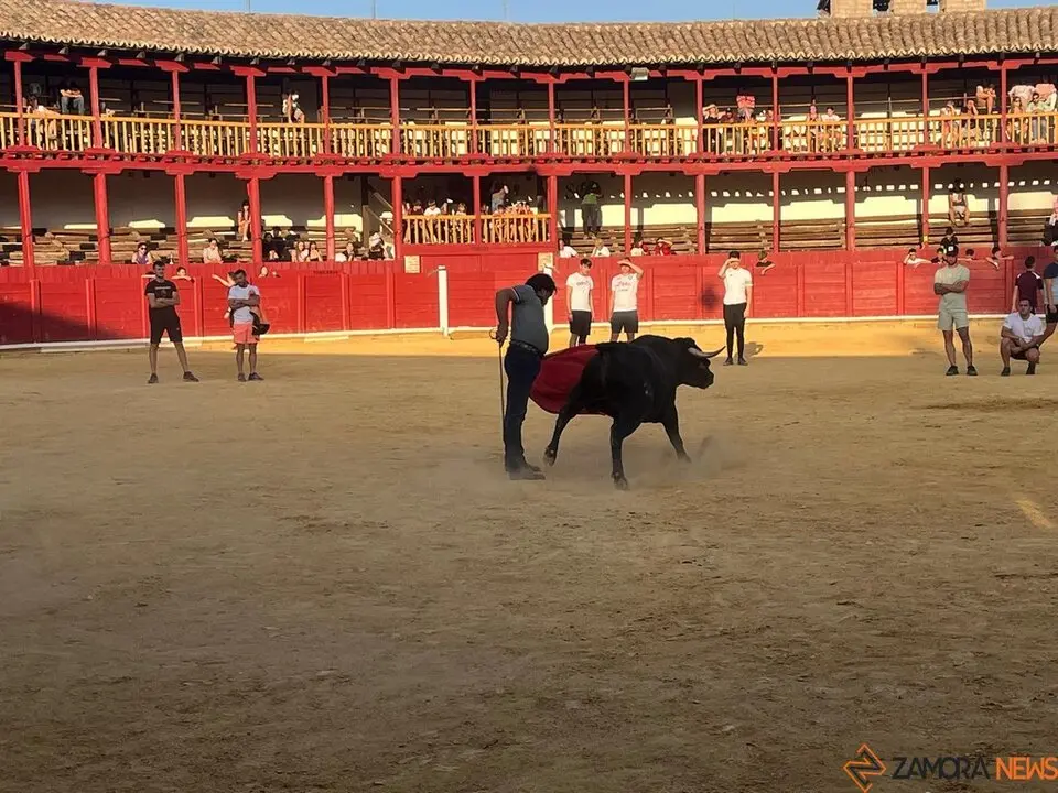 Fuente del Vino Toro _45