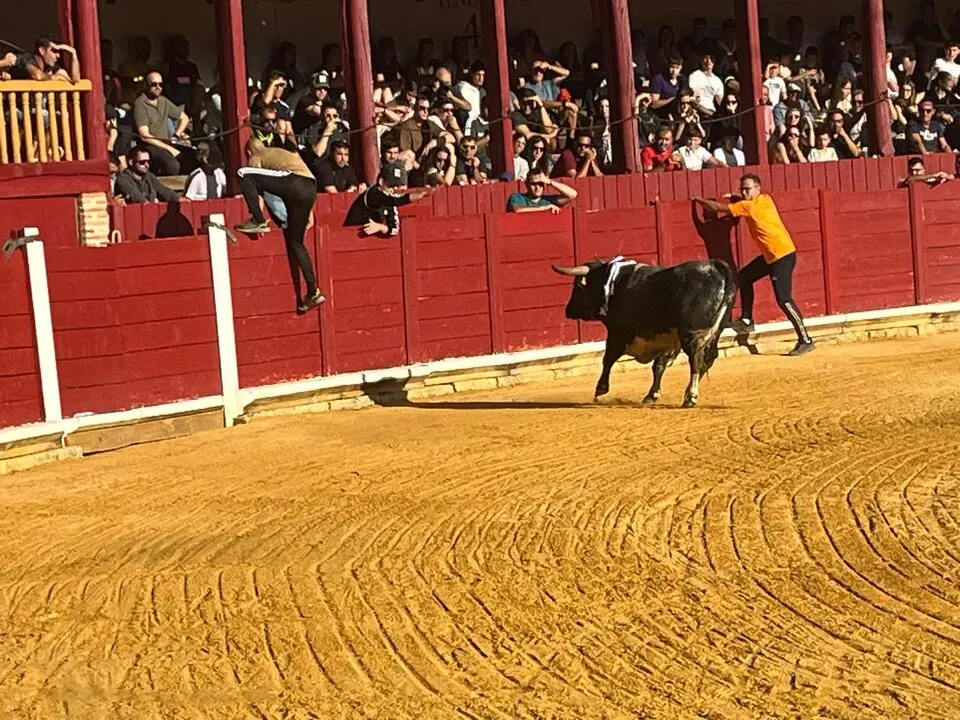 Toro del Cajón solidario: emoción, tradición y plaza llena por una buena causa