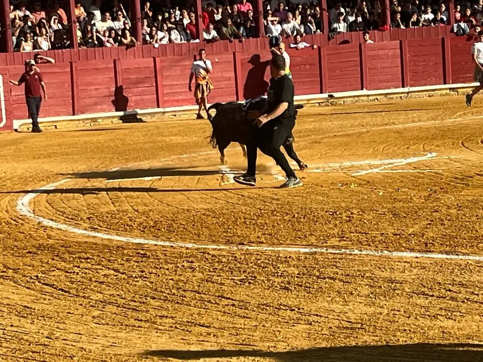 Toro del Cajón solidario: emoción, tradición y plaza llena por una buena causa