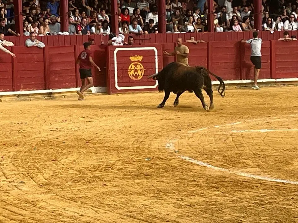 Toro del Cajón solidario: emoción, tradición y plaza llena por una buena causa
