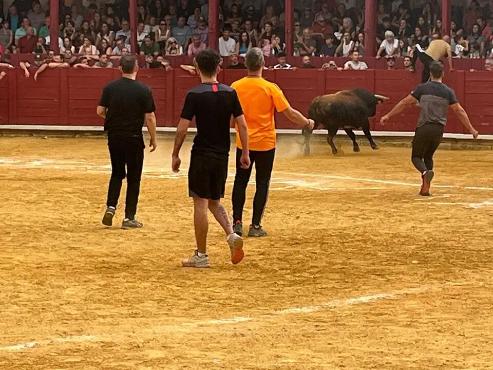 Toro del Cajón solidario: emoción, tradición y plaza llena por una buena causa