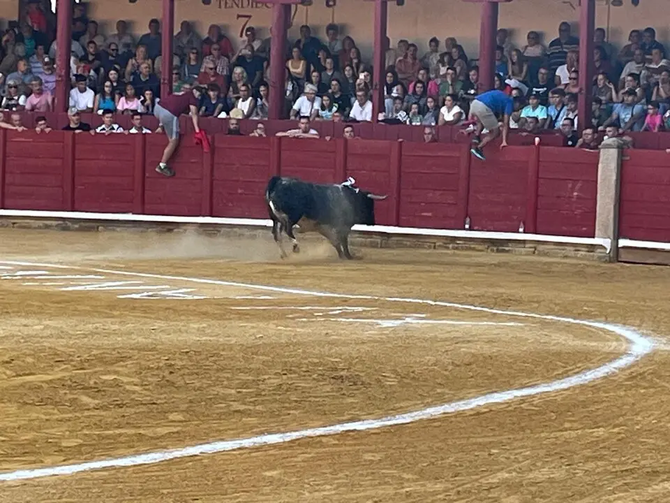 Toro del Cajón solidario: emoción, tradición y plaza llena por una buena causa