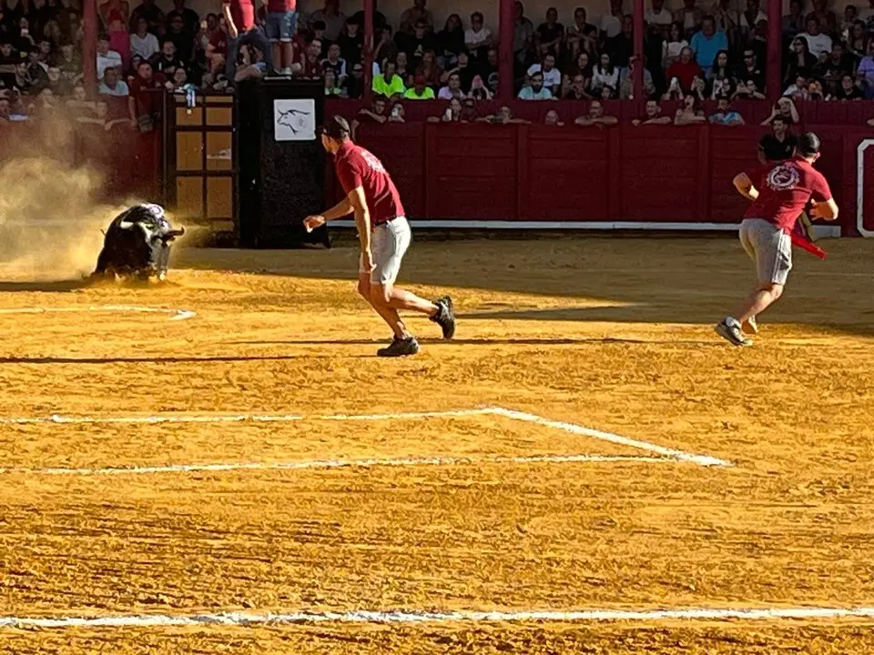Toro del Cajón solidario: emoción, tradición y plaza llena por una buena causa