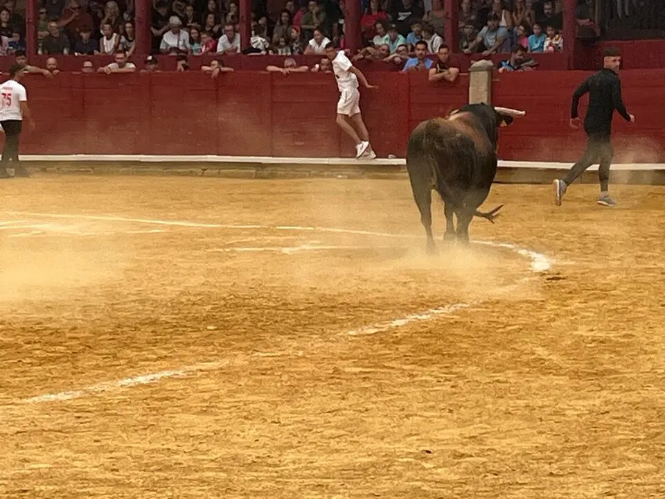 Toro del Cajón solidario: emoción, tradición y plaza llena por una buena causa