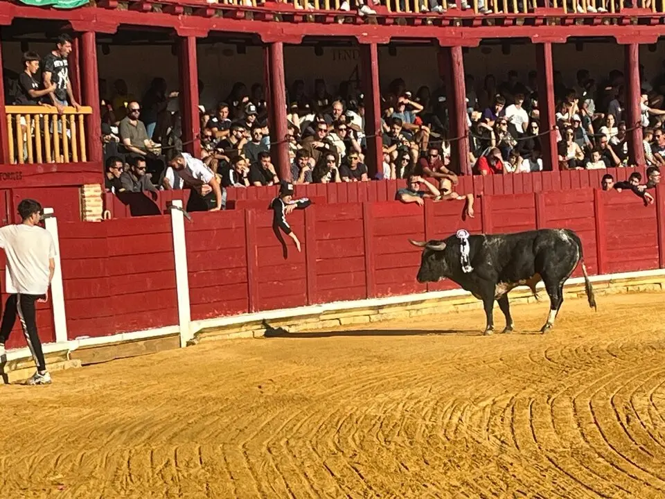 Toro del Cajón solidario: emoción, tradición y plaza llena por una buena causa