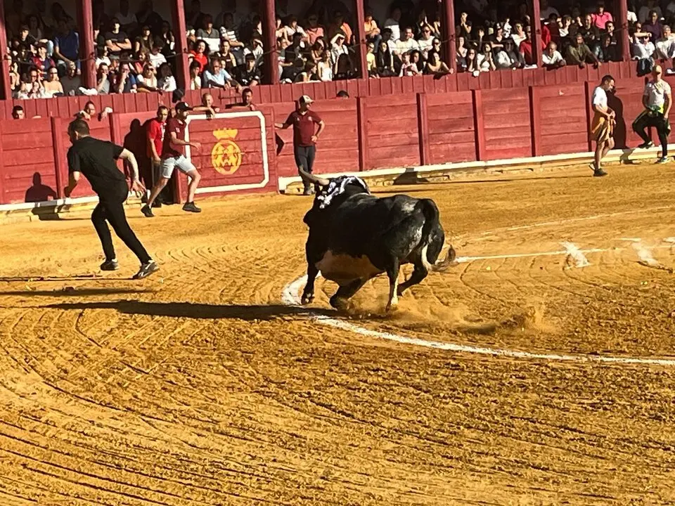 Toro del Cajón solidario: emoción, tradición y plaza llena por una buena causa