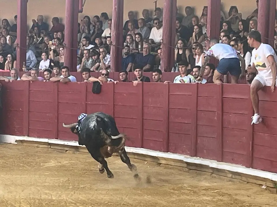 Toro del Cajón solidario: emoción, tradición y plaza llena por una buena causa