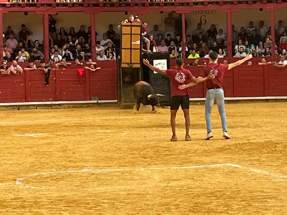 Toro del Cajón solidario: emoción, tradición y plaza llena por una buena causa