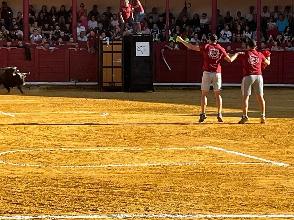 Toro del Cajón solidario: emoción, tradición y plaza llena por una buena causa