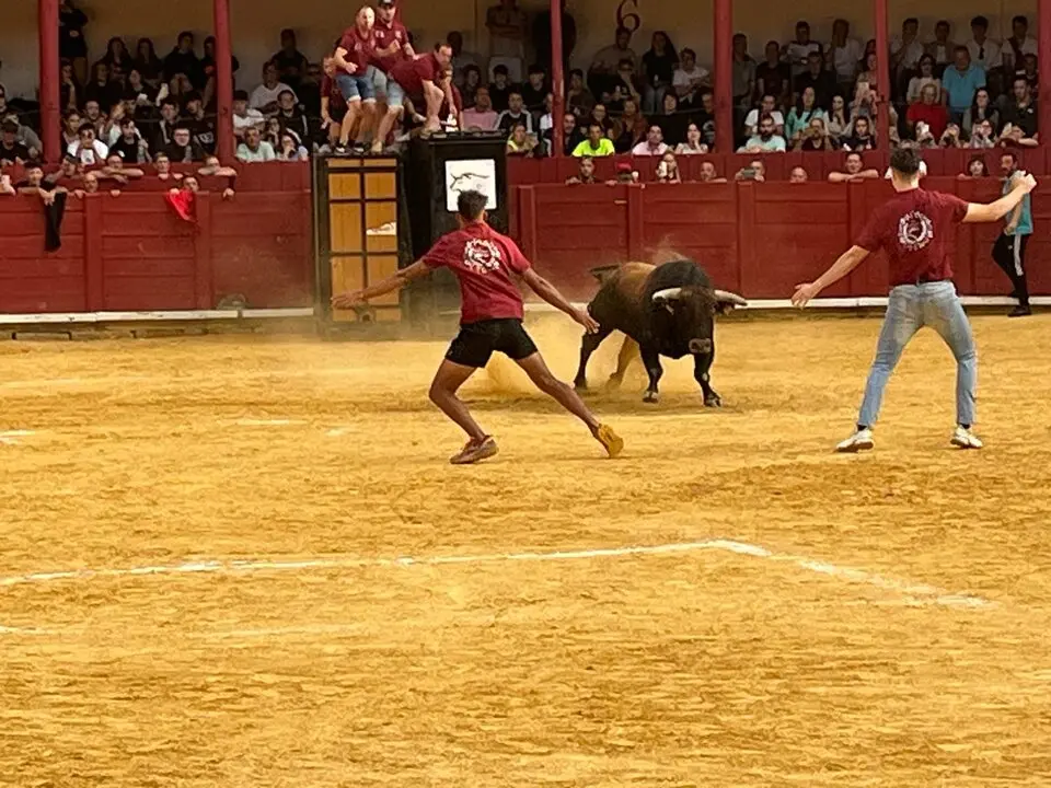 Toro del Cajón solidario: emoción, tradición y plaza llena por una buena causa