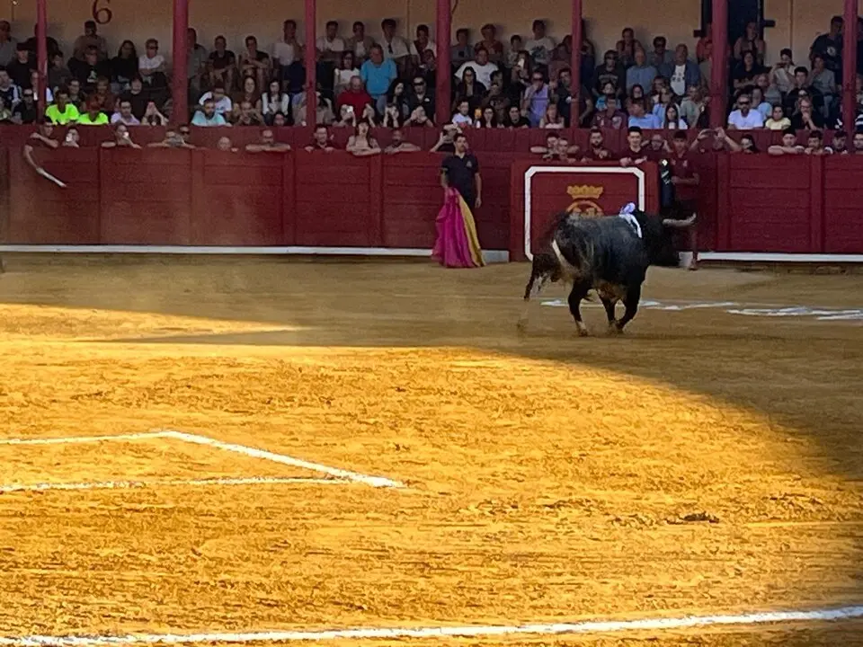Toro del Cajón solidario: emoción, tradición y plaza llena por una buena causa