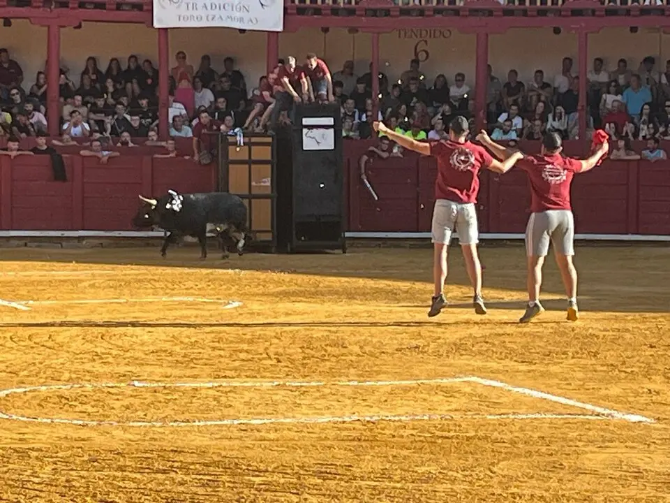 Toro del Cajón solidario: emoción, tradición y plaza llena por una buena causa